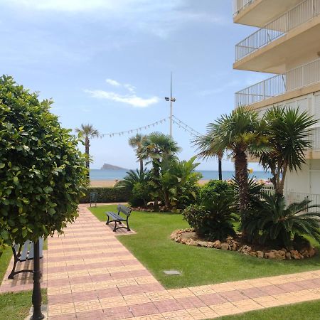 Living Benidorm. Playa Levante Eksteriør bilde